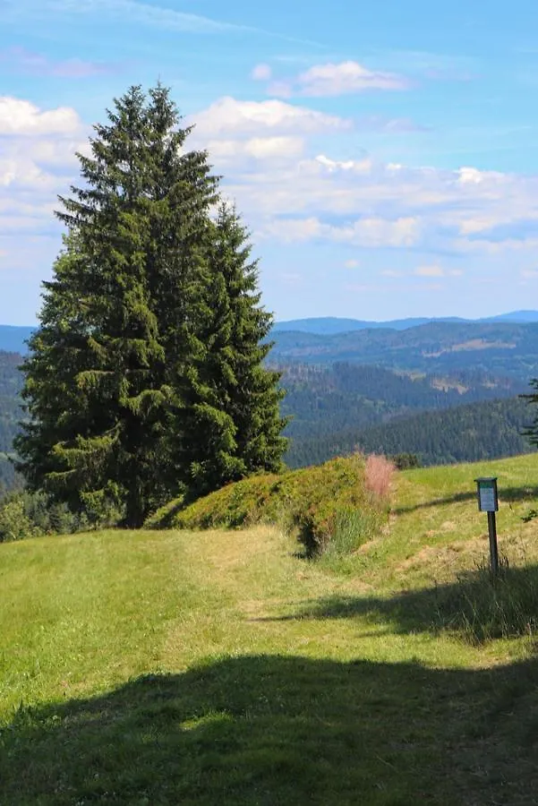Fitapartman Mitterfirmiansreut Deutschland
