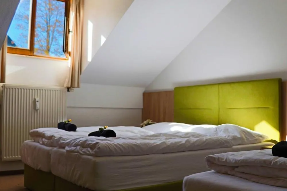 Fitapartman Mitterfirmiansreut 0*,  Germany