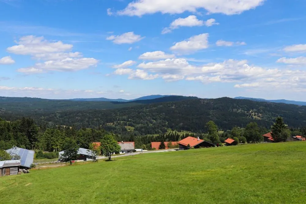 Fitapartman Mitterfirmiansreut