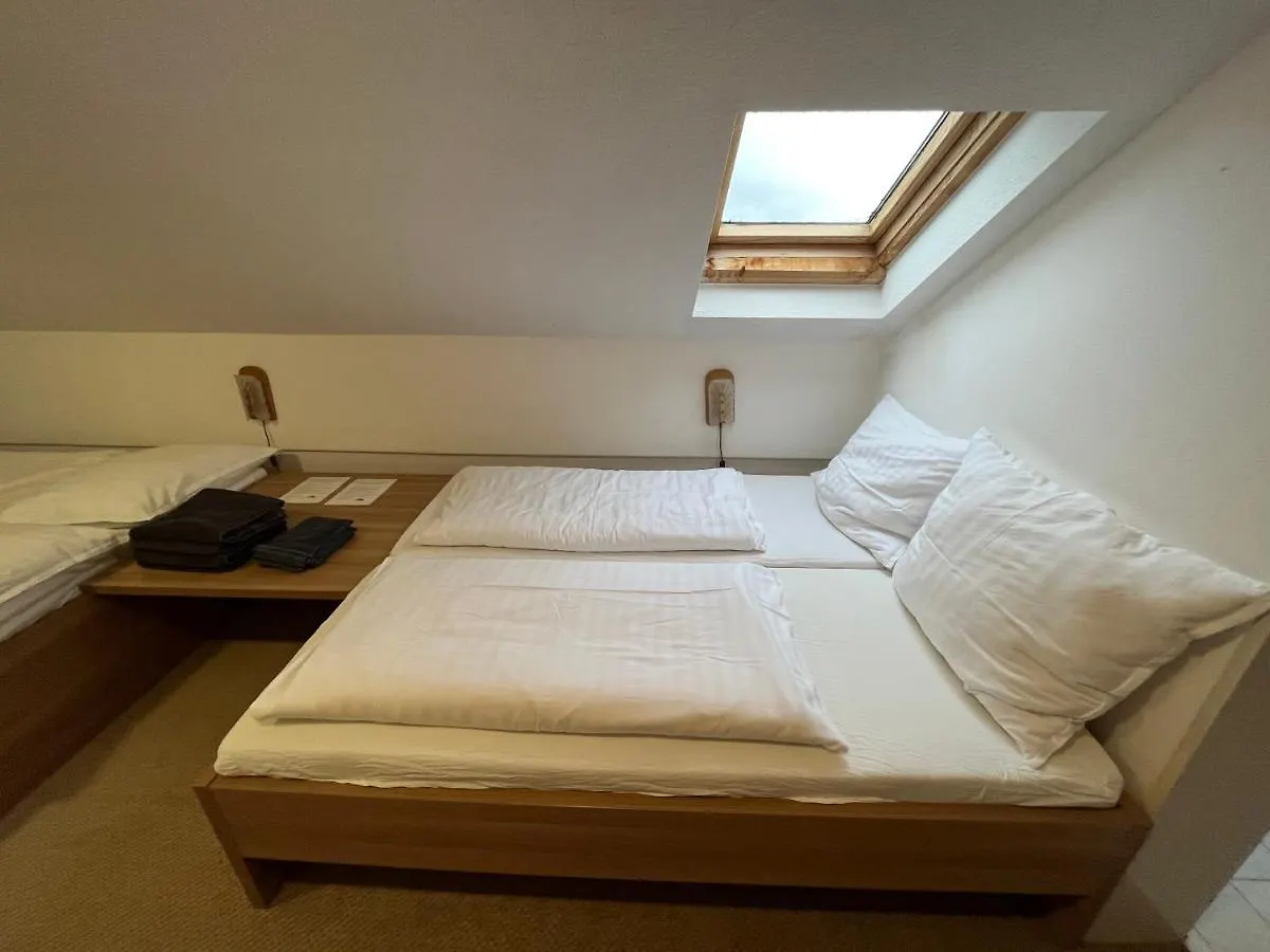 Apartment Fitapartman Mitterfirmiansreut Germany