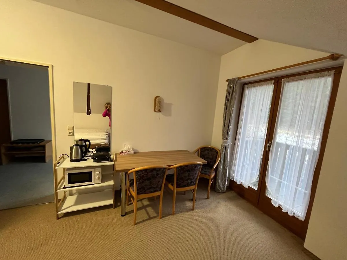 Fitapartman Mitterfirmiansreut Germany