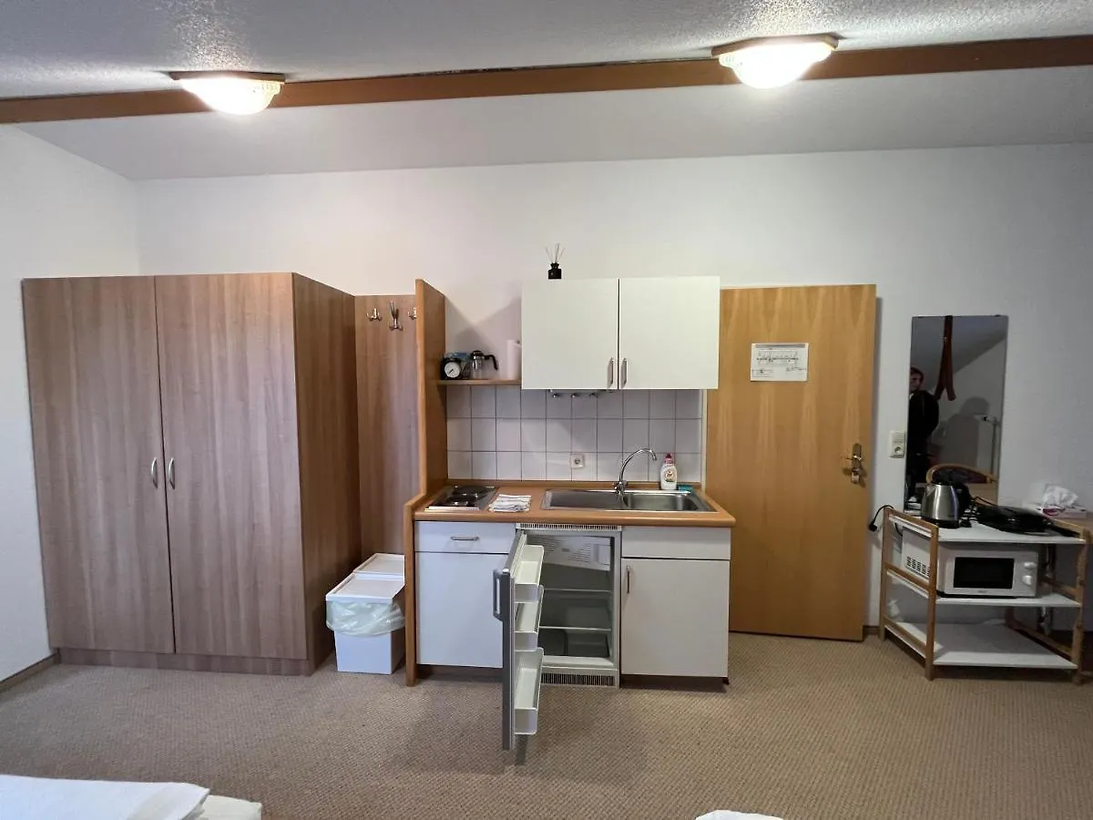 Apartment Fitapartman Mitterfirmiansreut Germany